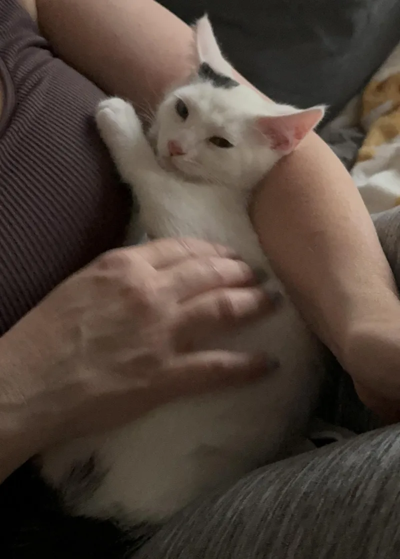 Opie thumbnail 2