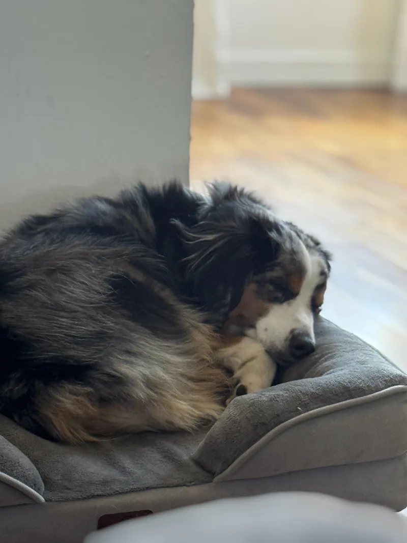 Cooper thumbnail 3