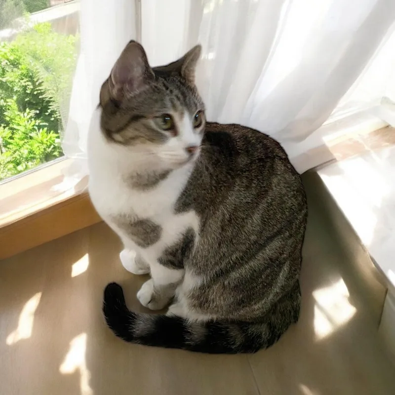 Sky & River thumbnail 2