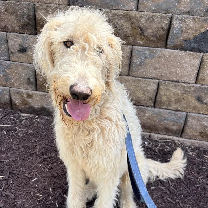 Benny