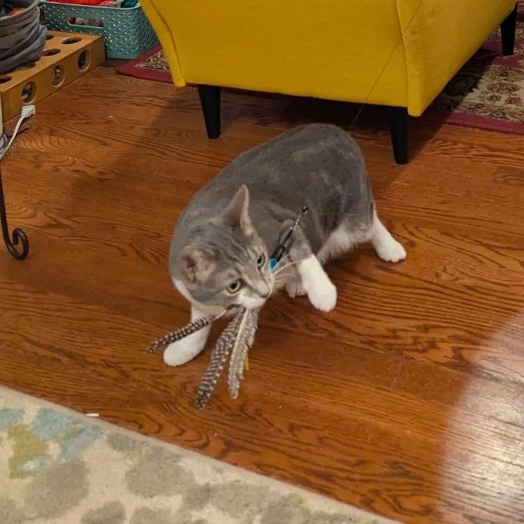 Marianne thumbnail 3