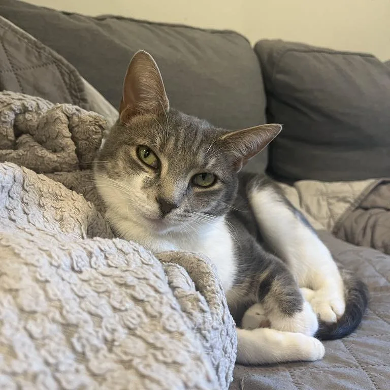 Marianne thumbnail 4