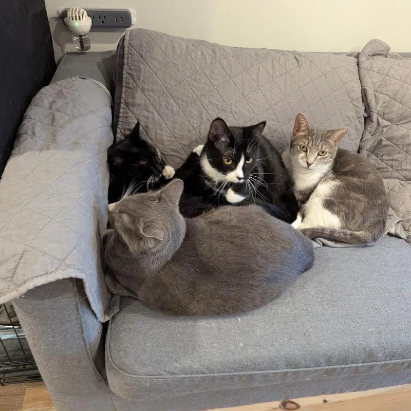 Marianne thumbnail 5