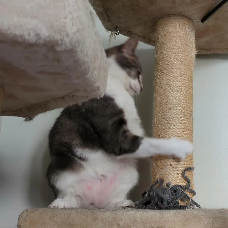 Marianne thumbnail 6