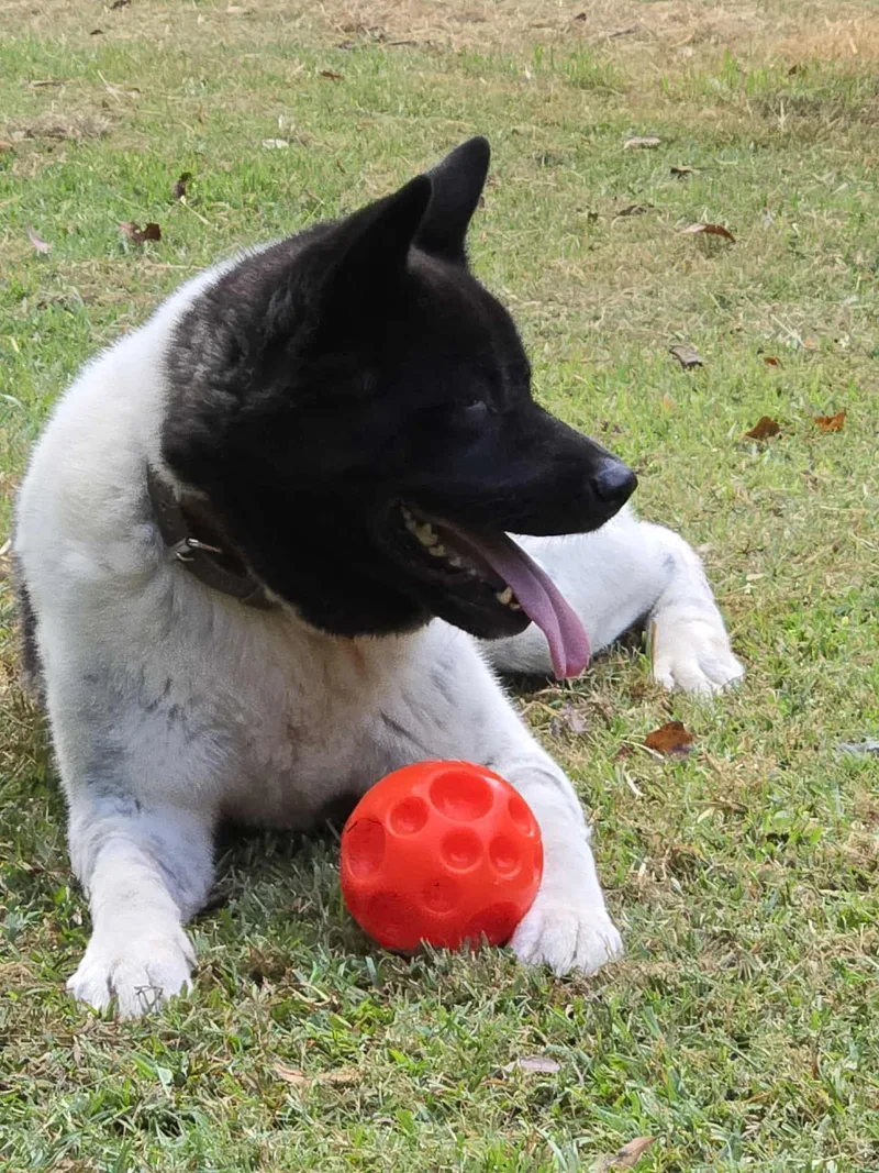 Mireille thumbnail 5