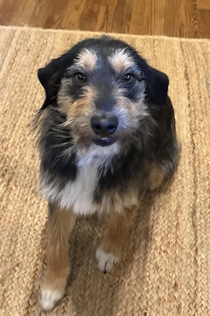 Lindi Laurel thumbnail 2