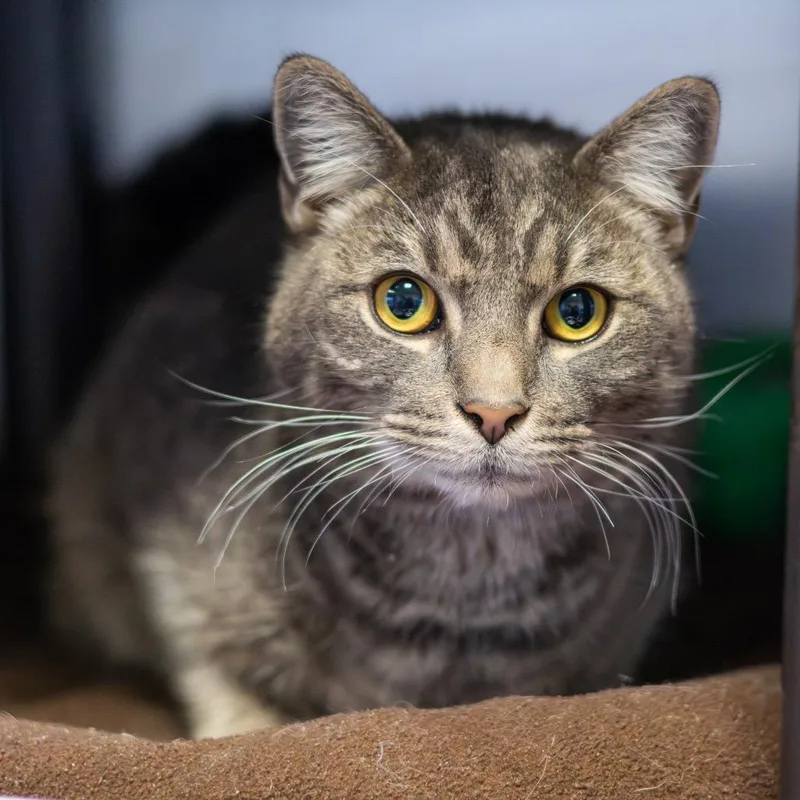 Ruby Loo thumbnail 4