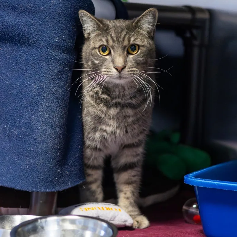 Ruby Loo thumbnail 5