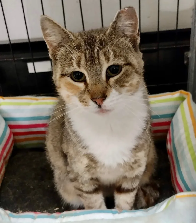 Tallulah thumbnail 2