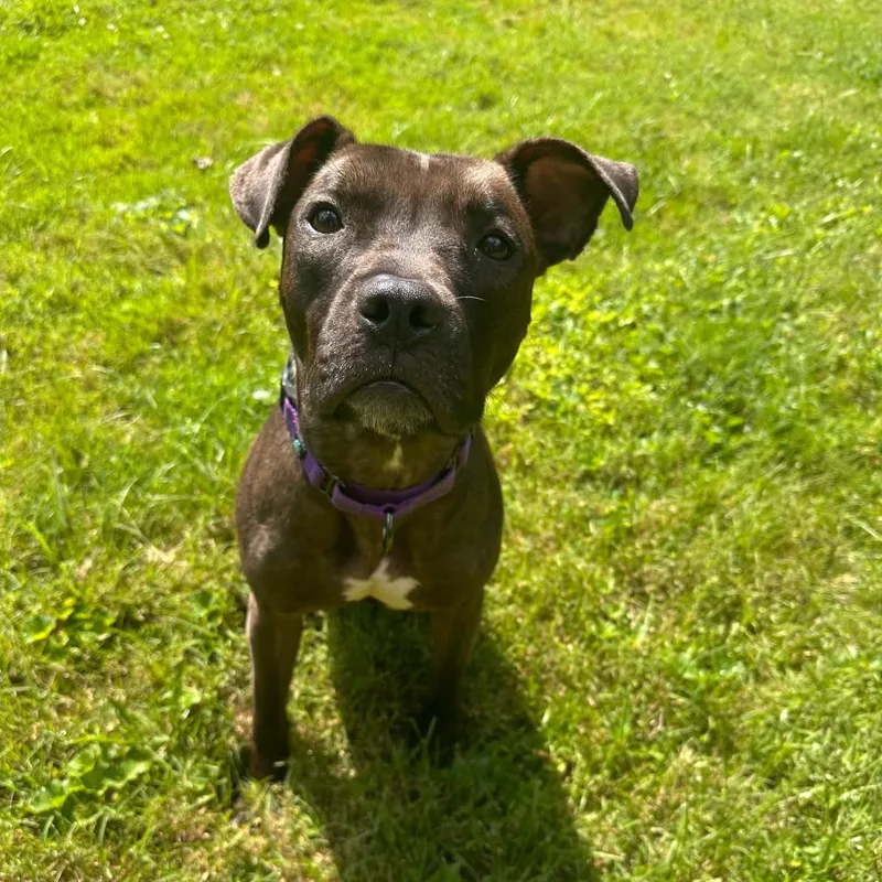 Nala thumbnail 2
