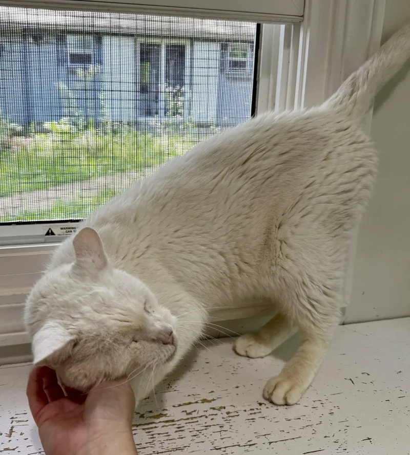 Casper thumbnail 2
