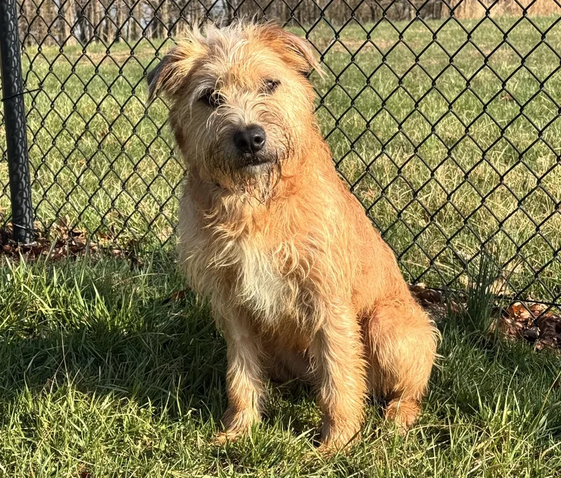 Humphrey thumbnail 2