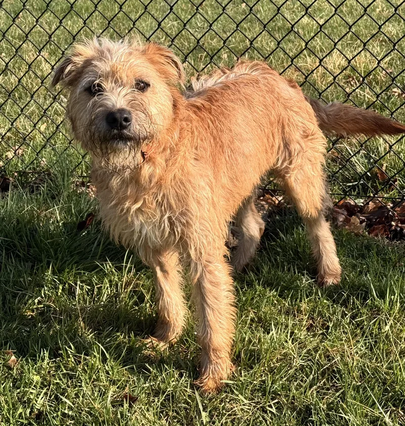 Humphrey thumbnail 3