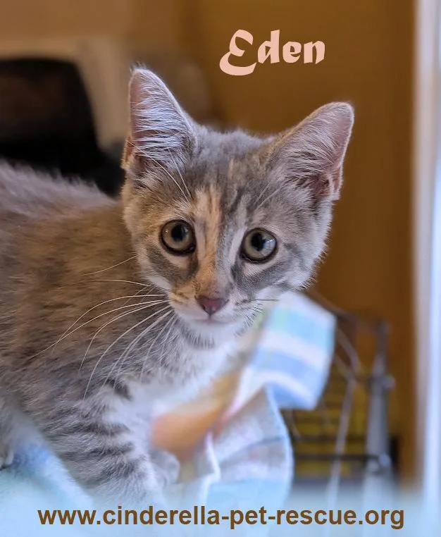 Eden thumbnail 2