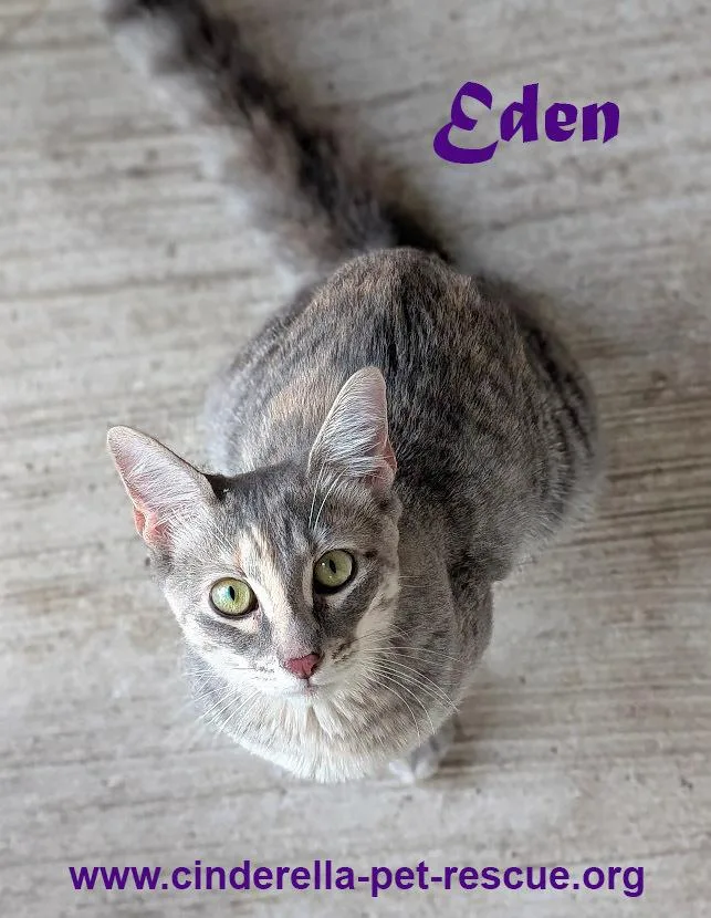 Eden thumbnail 3
