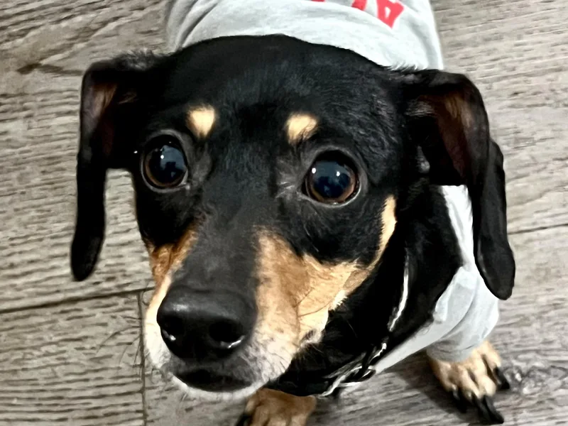 Marley thumbnail 2