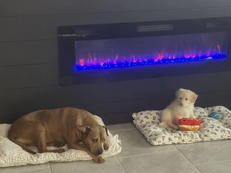 Polar Bear thumbnail 4