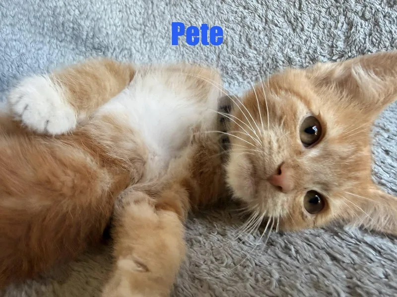Pete