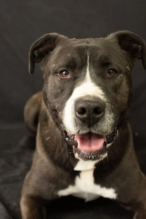 Fernando thumbnail 3