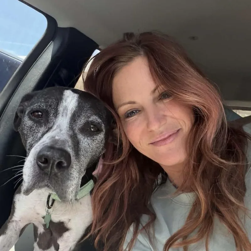 A senior medium-sized female Gray / Blue / Silver Mixed Breed dog named Rita for adoption in Jacksonville, FL