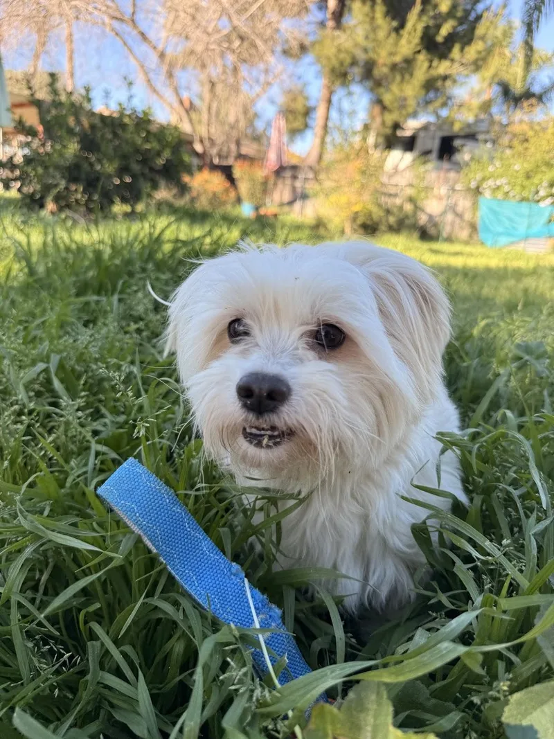 Davina & Red thumbnail 2