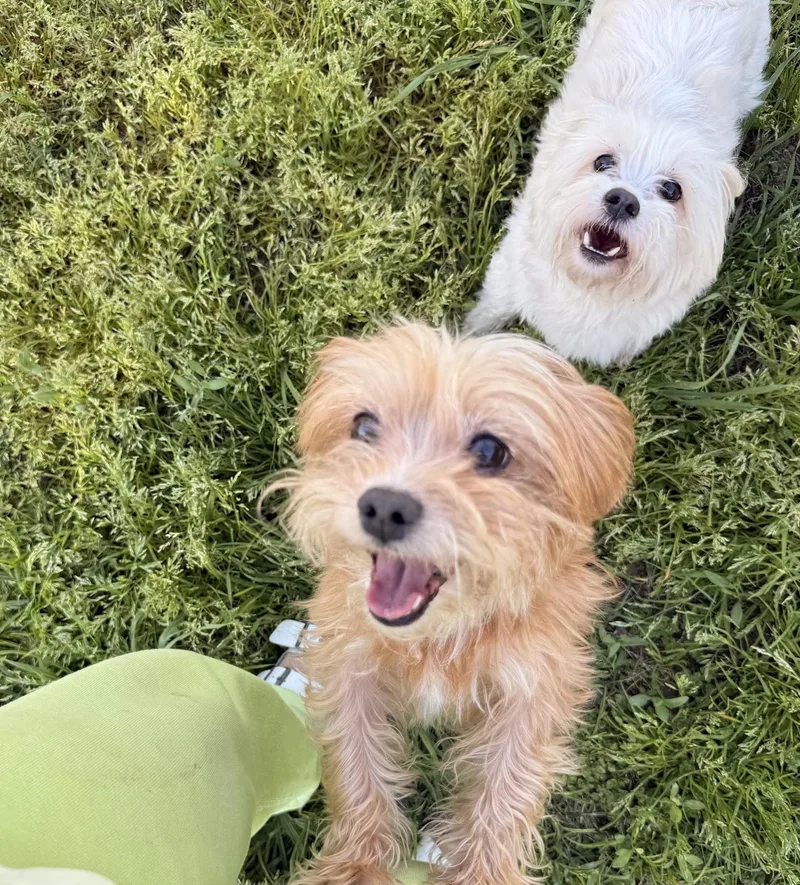 Davina & Red thumbnail 5