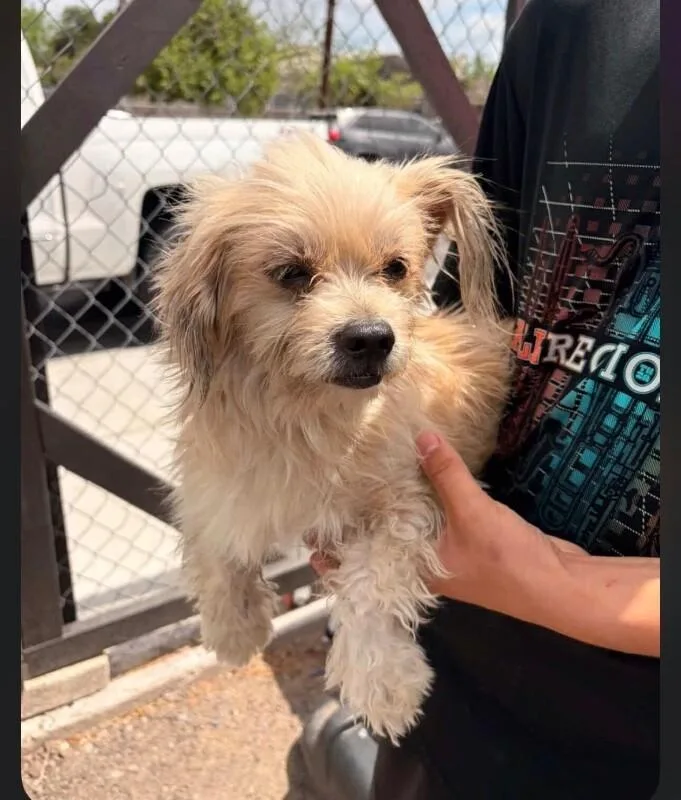 Nacho Libre thumbnail 2