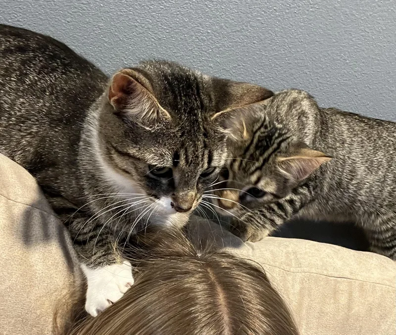 Mena and Jade thumbnail 3