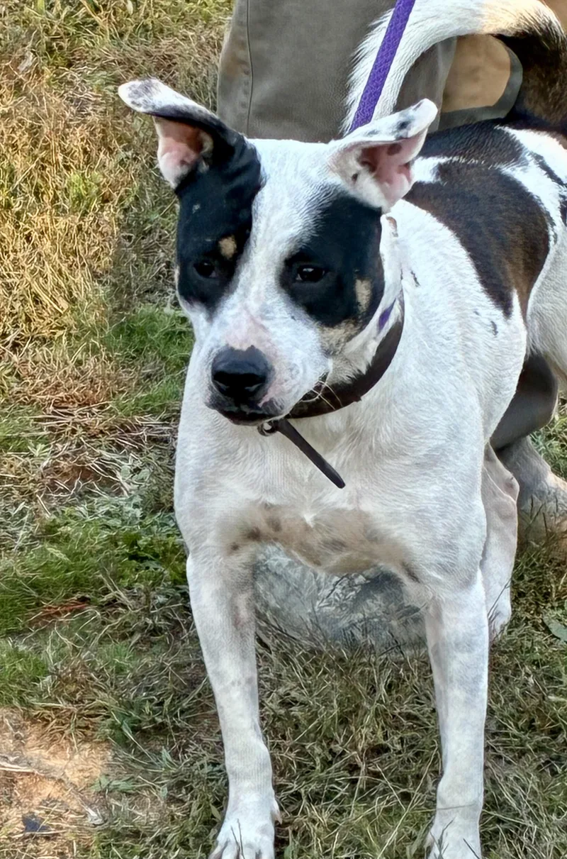 Sunshine Urgent thumbnail 2