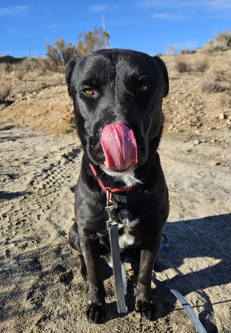 Malcom Loves To Play thumbnail 4