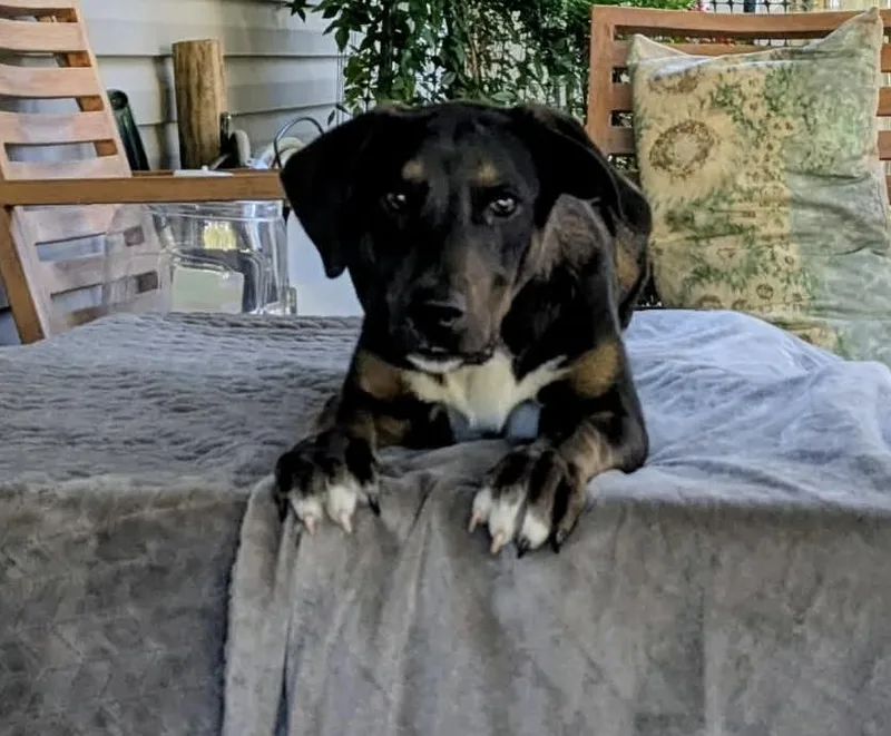 Hernandez thumbnail 2