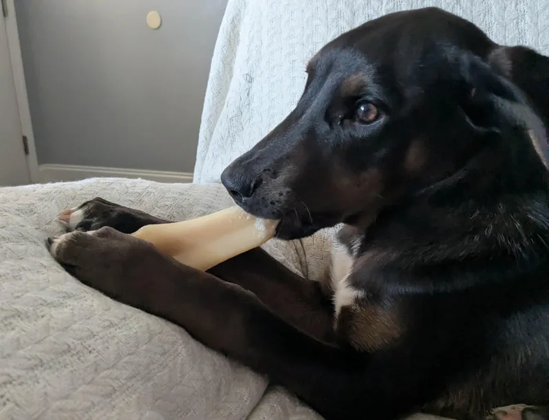 Hernandez thumbnail 4