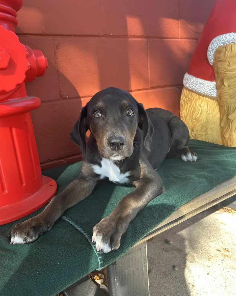 Hernandez thumbnail 5