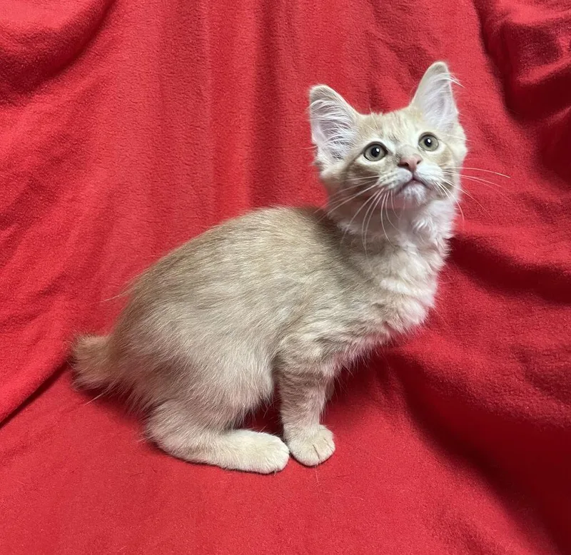 Eugene