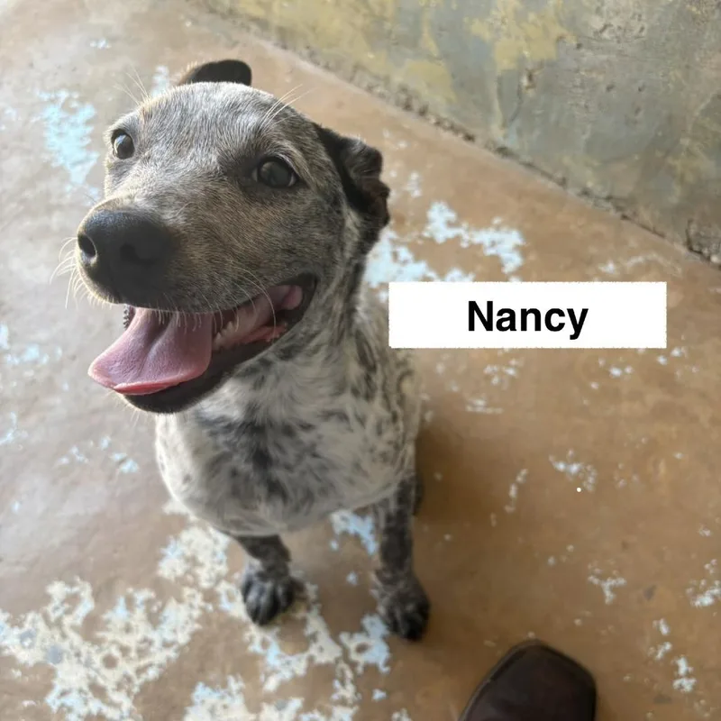 Nancy