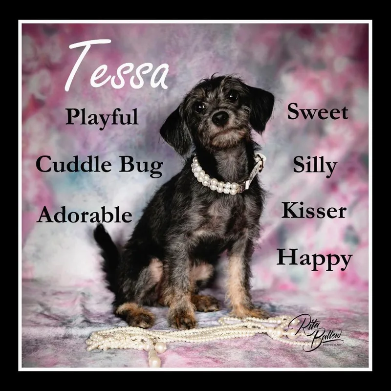 Tessa thumbnail 4
