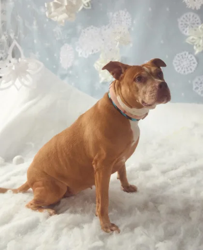 Small Girl thumbnail 2