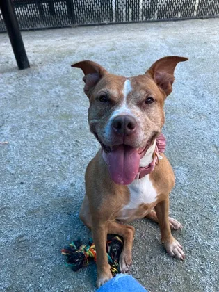 Small Girl thumbnail 4