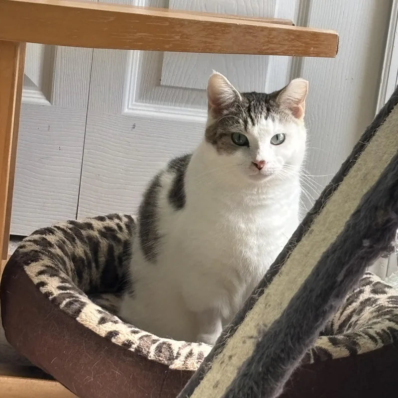 Max