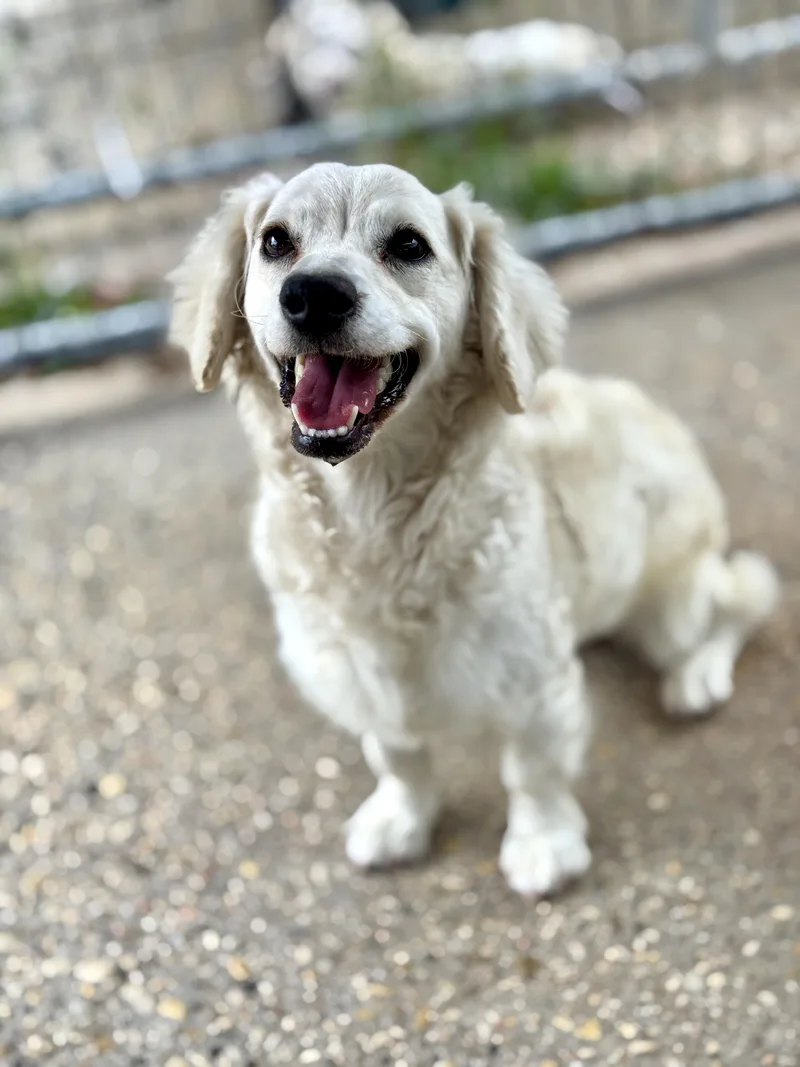 Princess thumbnail 6