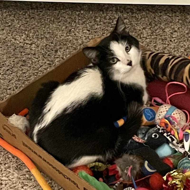 Luke Skywalker thumbnail 2