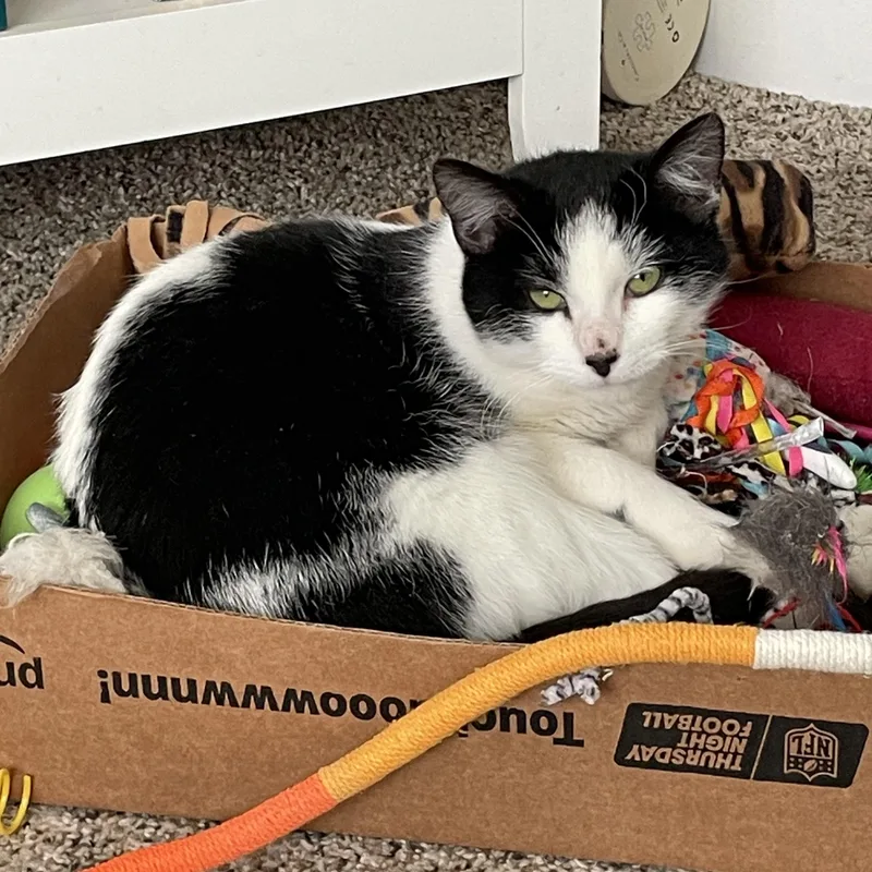 Luke Skywalker thumbnail 3