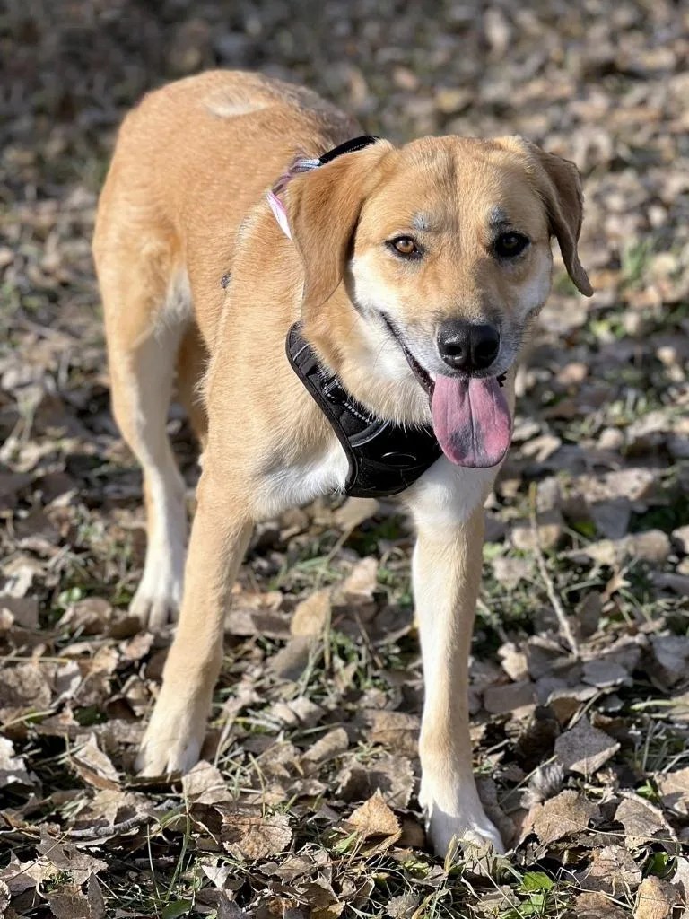 Dillyn Mae thumbnail 2