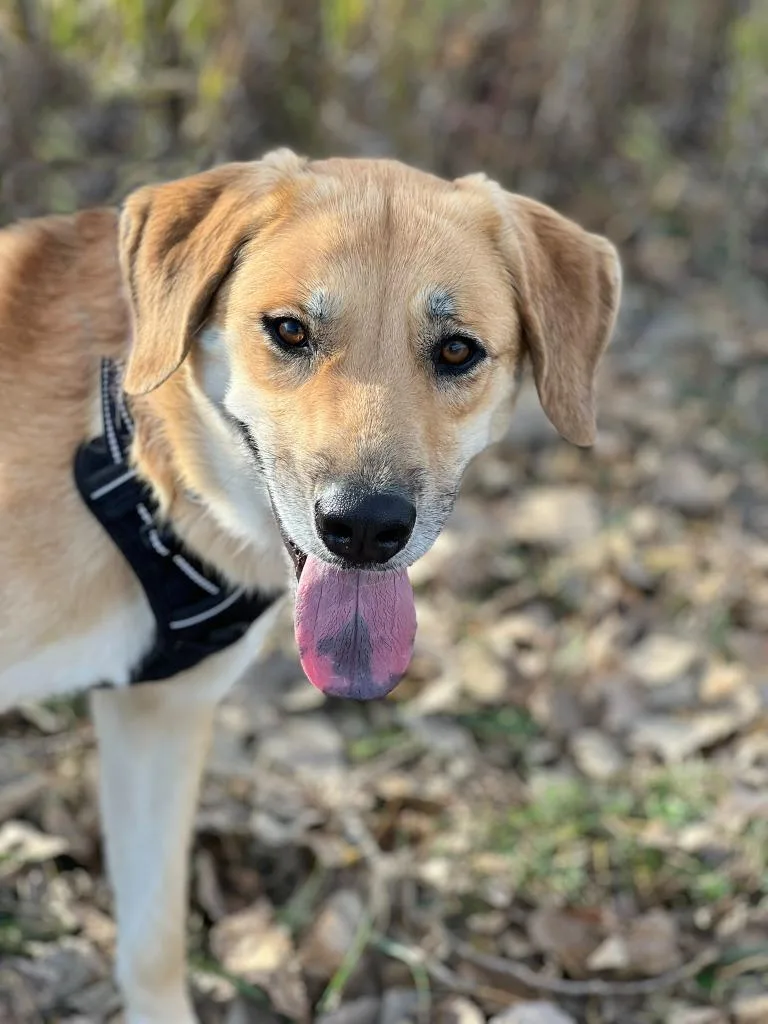 Dillyn Mae thumbnail 4