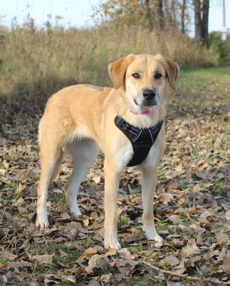 Dillyn Mae thumbnail 5