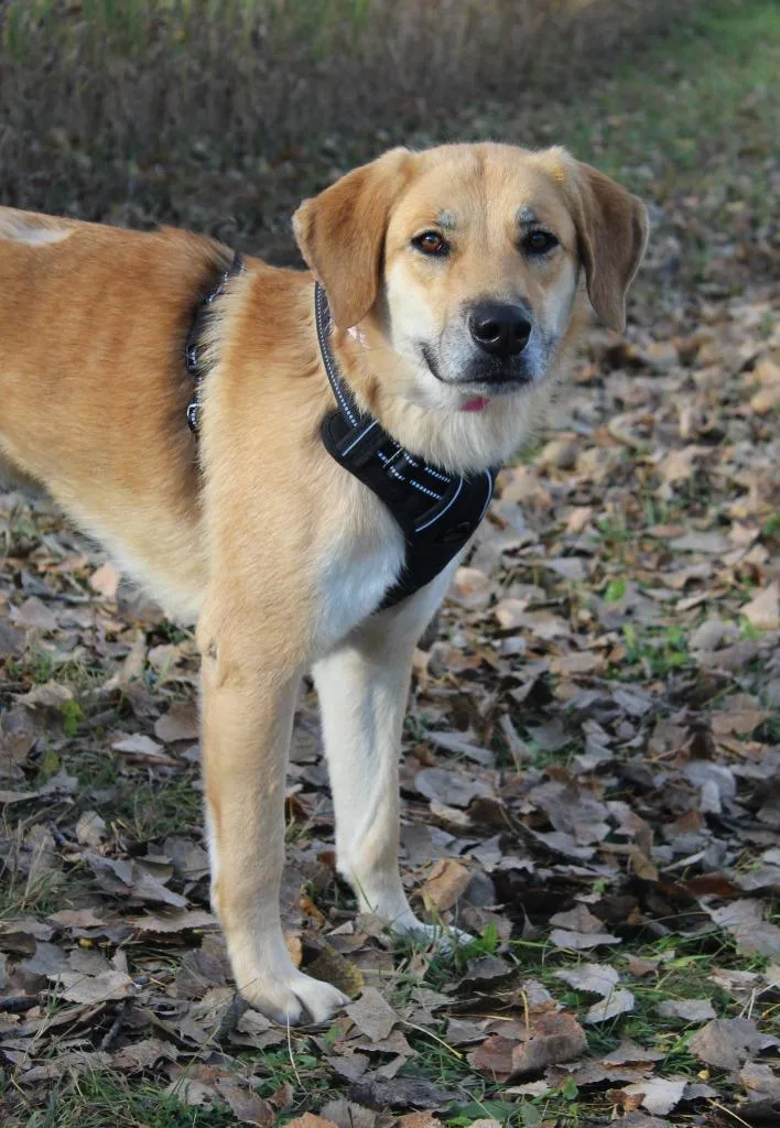 Dillyn Mae thumbnail 6