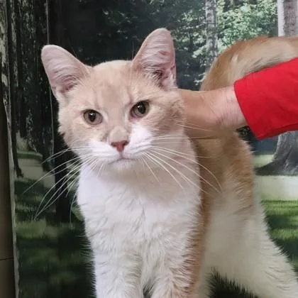 Bean Bag Chair thumbnail 2