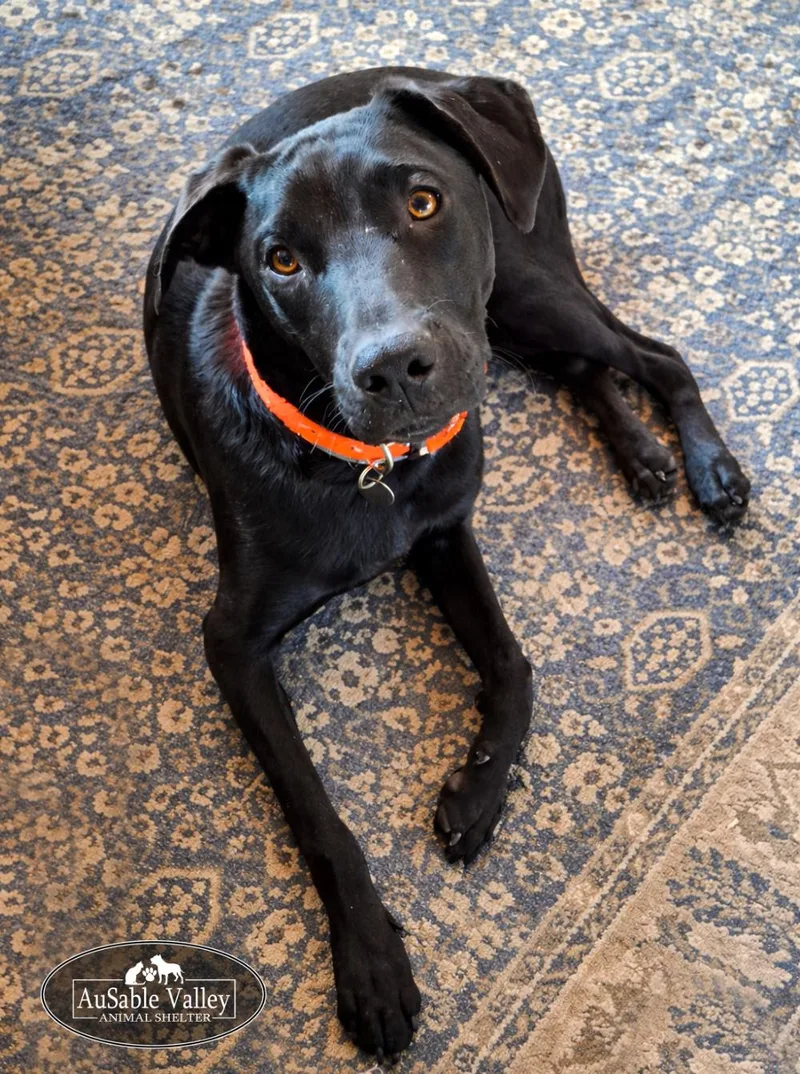 Jeff Hardy thumbnail 2