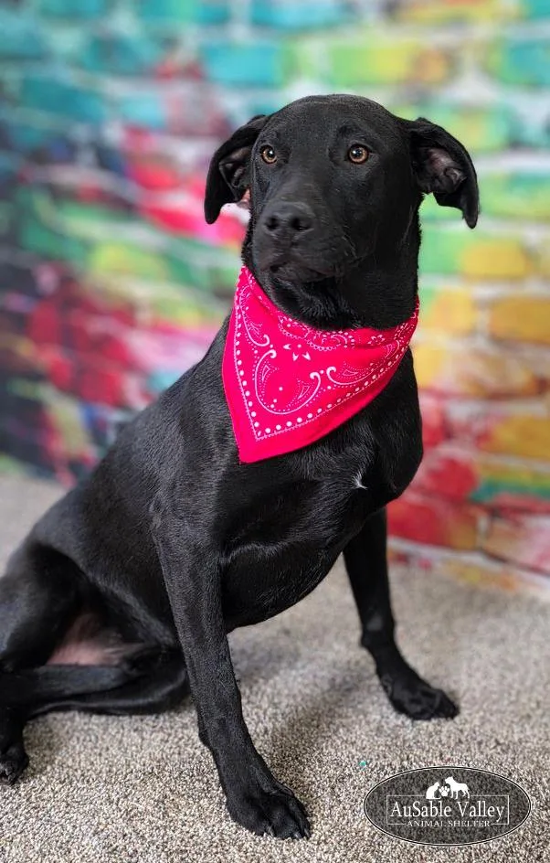 Jeff Hardy thumbnail 3