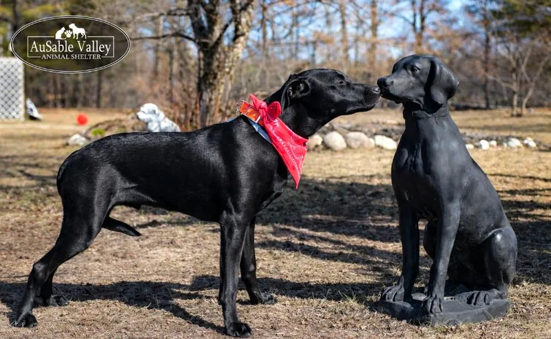 Jeff Hardy thumbnail 4